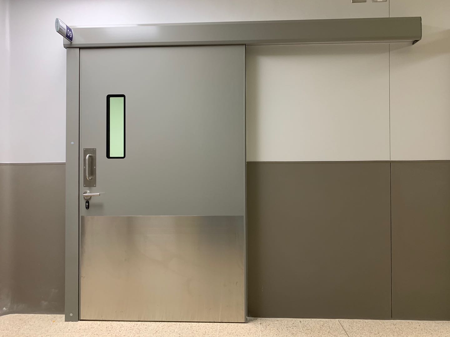 Cleanroom Swing Door