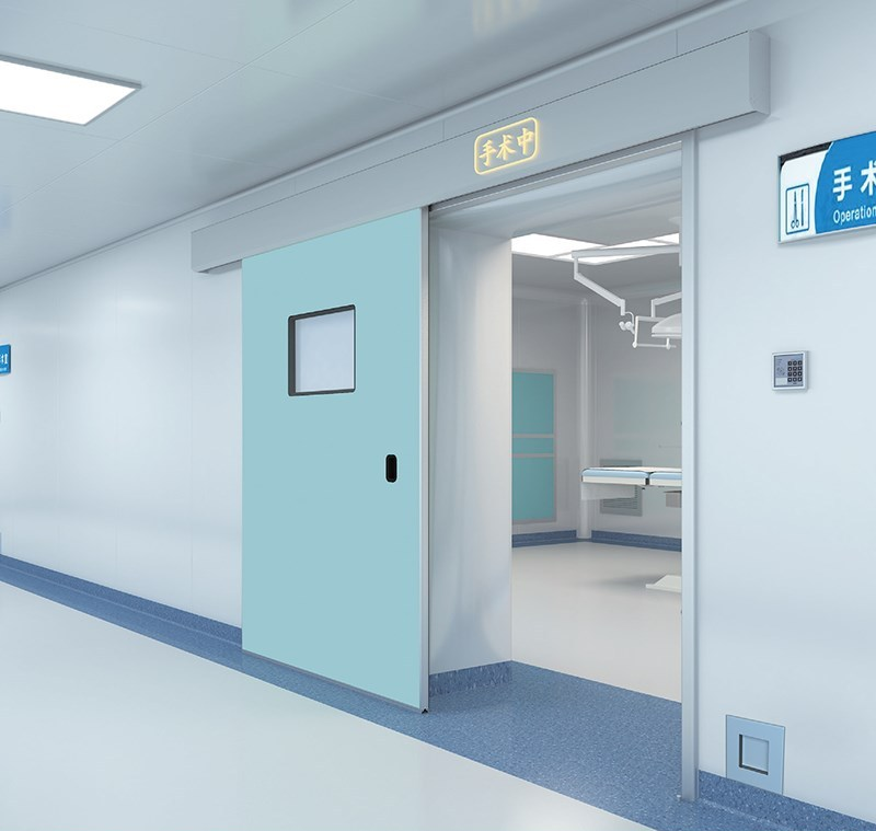 Cleanroom Swing Door